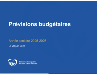 CSPNE_Budget 2025-2026.pdf